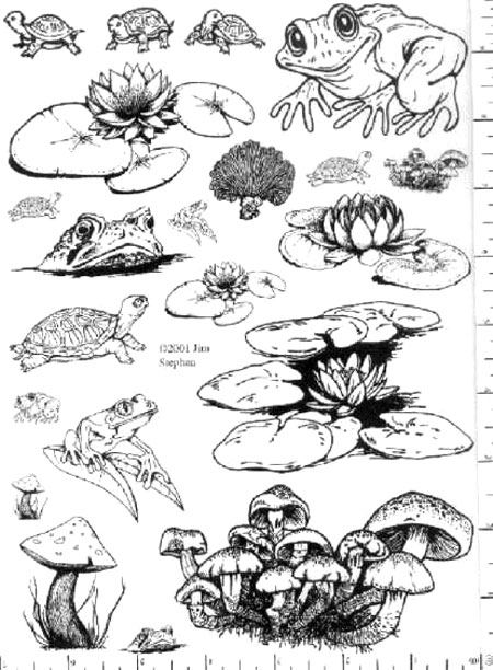 Jim Stephan Rubber Ink Art - 84: Froggies, Lilies, & Shrooms