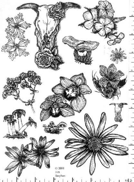 Jim Stephan Rubber Ink Art - 36: O'Keeffe & Flowers
